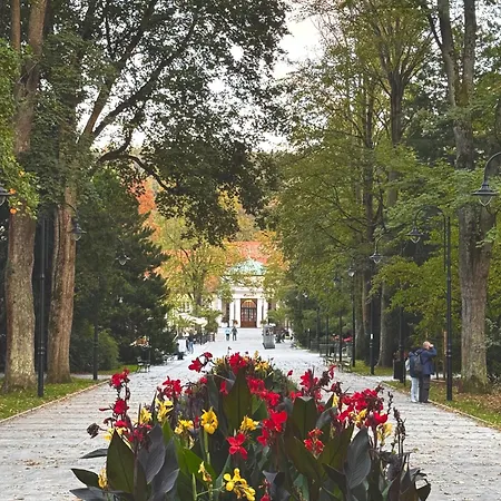 Sudety Park Zdrojowy Lägenhet *