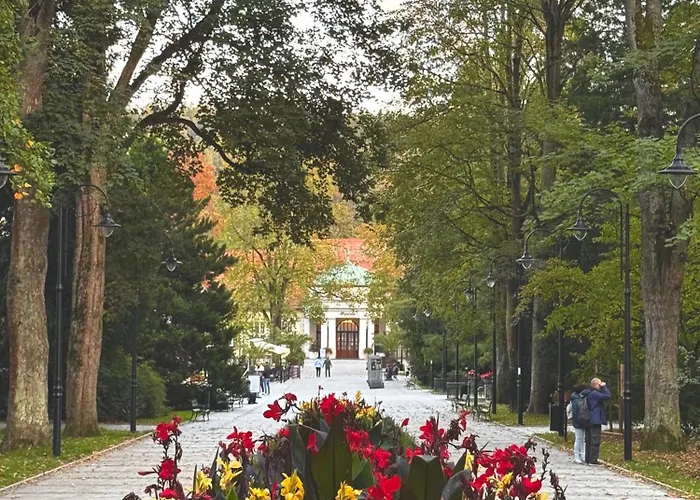 Sudety Park Zdrojowy 아파트 *