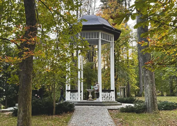 아파트 Sudety Park Zdrojowy *