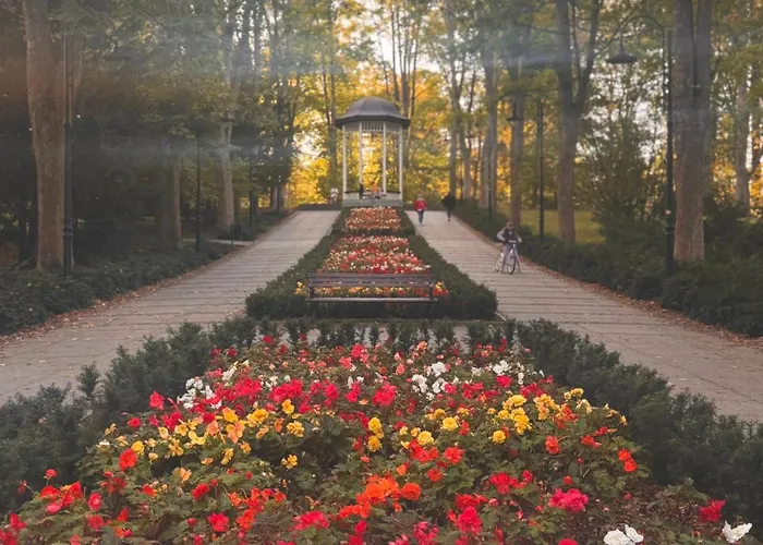 Sudety Park Zdrojowy 아파트 *